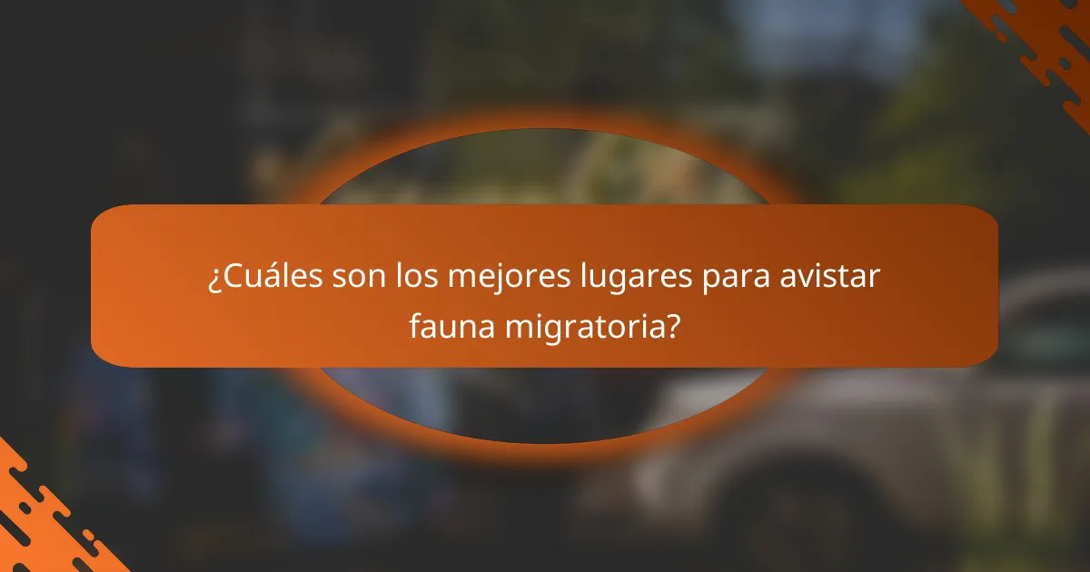 ¿Cuáles son los mejores lugares para avistar fauna migratoria?